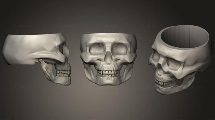 Анатомия скелеты и черепа (Мой, ANTM_0917) 3D модель для ЧПУ станка